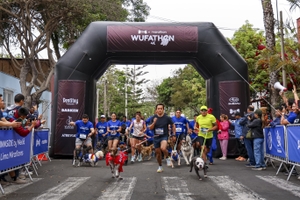 Wufathon 4k II 2024